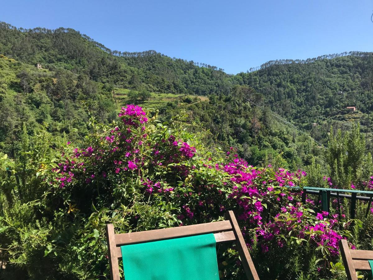 Cottage La Terrazza ليفانتو المظهر الخارجي الصورة