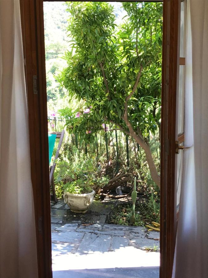 Cottage La Terrazza ليفانتو المظهر الخارجي الصورة