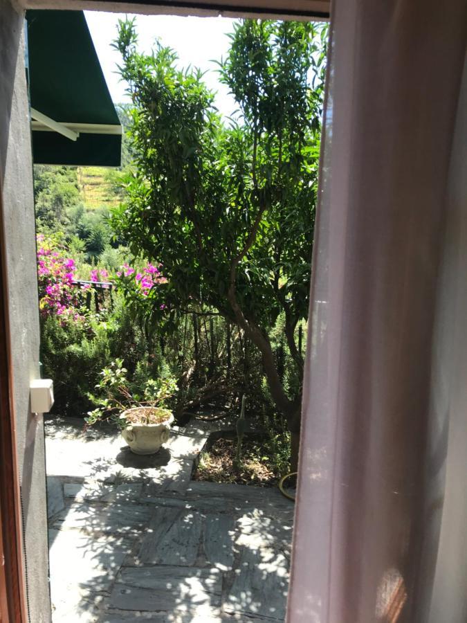 Cottage La Terrazza ليفانتو المظهر الخارجي الصورة